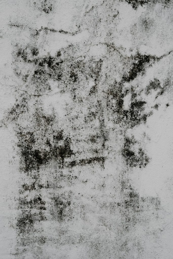 Portrait orientation textured wall background